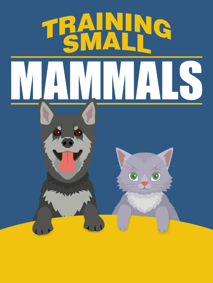 training small mammals